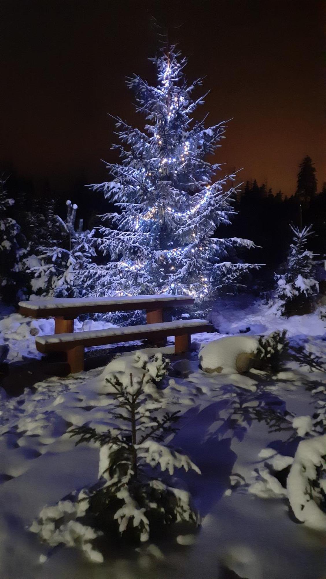 Goralska Chata Przy Dolinie Chocholowskiej Витув Экстерьер фото